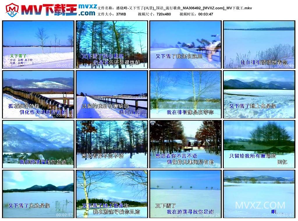 潘晓峰-又下雪了(风景)_国语_流行歌曲_MA306492